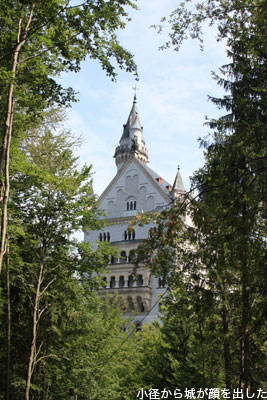 mCVoV^C3