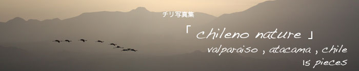 `ʐ^Wuchileno naturev